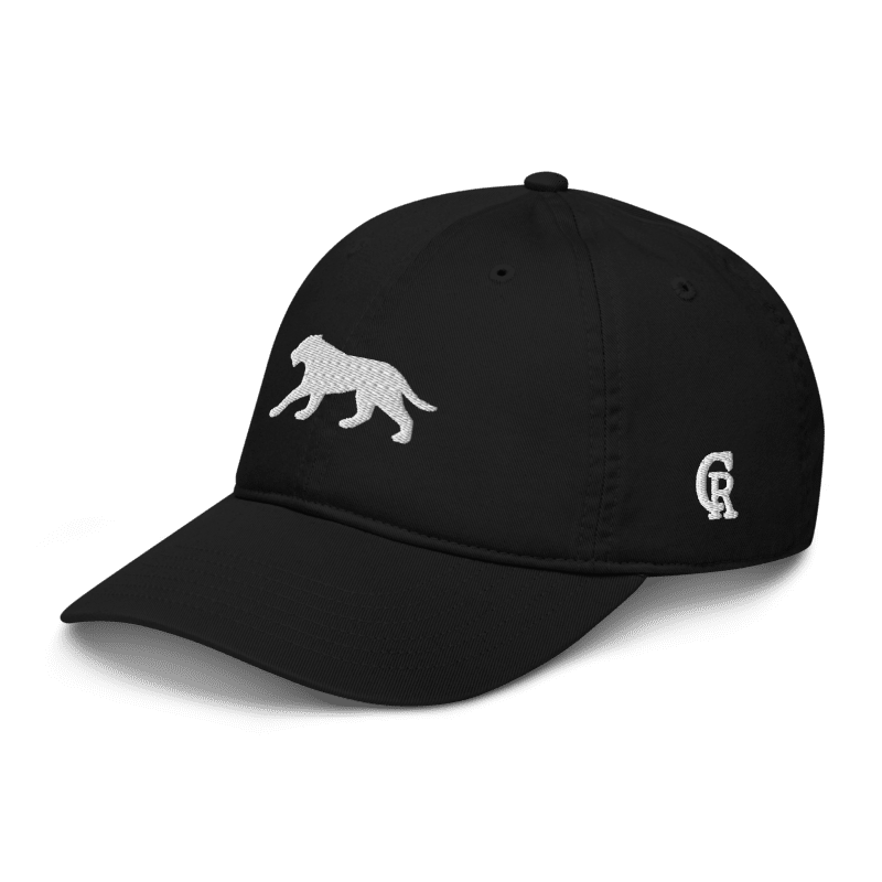 ONE Panther Cap angled front view