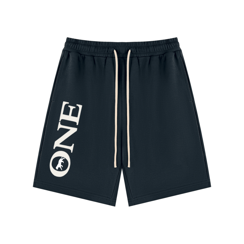 ONE Signature Shorts navy front view